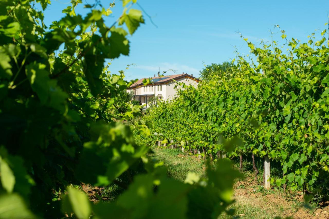 Relais La Dolce Vite Villa San Vendemiano Eksteriør billede