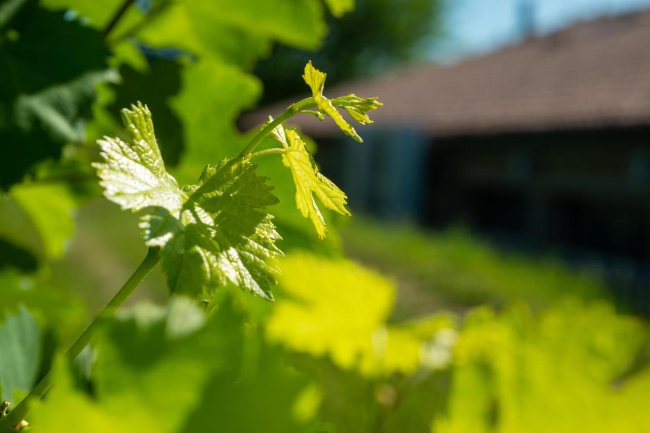 Relais La Dolce Vite Villa San Vendemiano Eksteriør billede